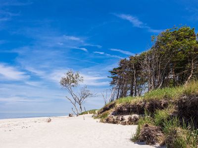 Weststrand Darß