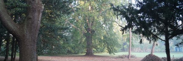 Musik, Literatur und mehr