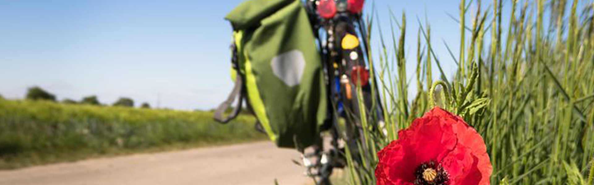 Unmittelbar am Grundstück des Schlosses Hohendorf führt der ausgewiesene Ostsee-Küstenradweg entlang